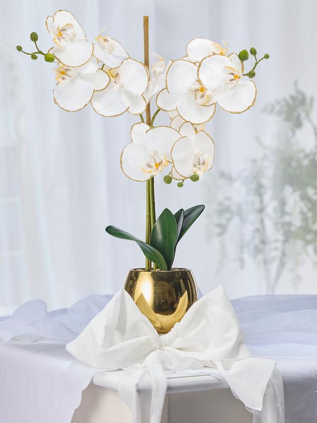 Phalaenopsis im goldfarbenen Keramiktopf, 12,50 x 10,5 cm