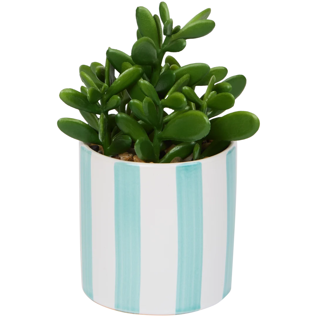 Plante grasse artificielle en pot