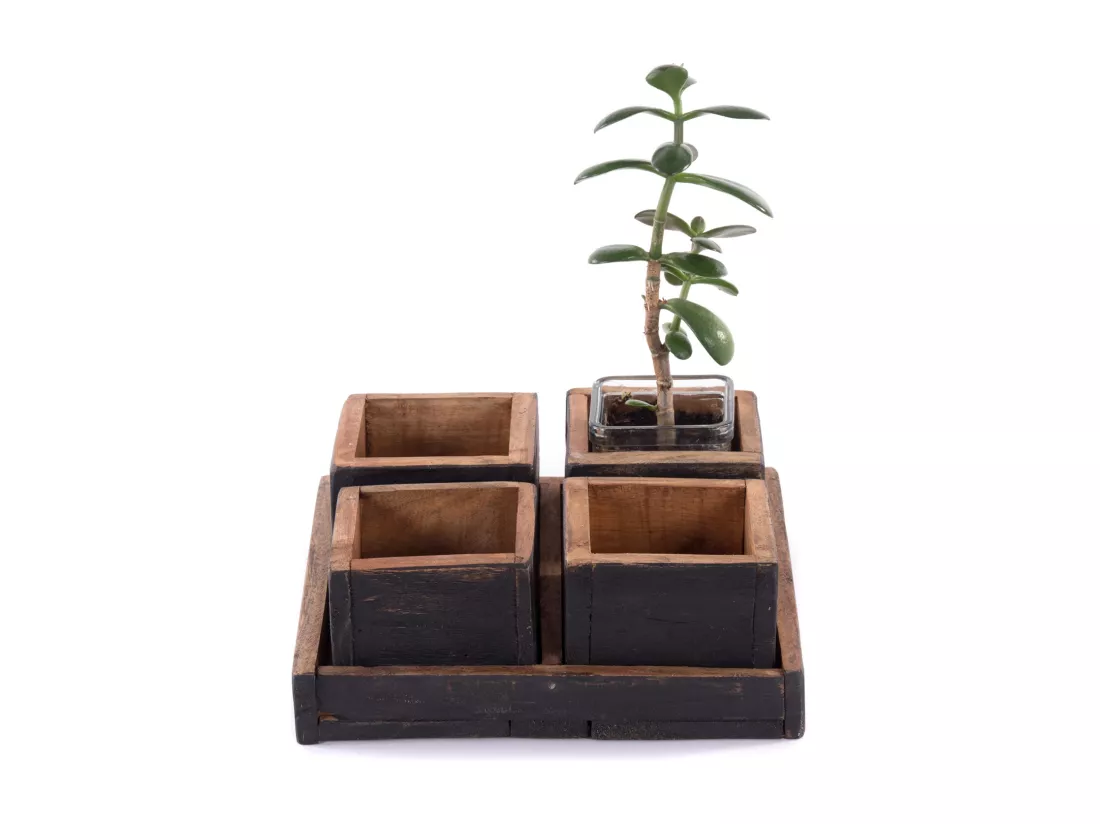 ENSEMBLE DE CAISSES Cubo 5 pièces. Bois massif 04 schwarz-natur