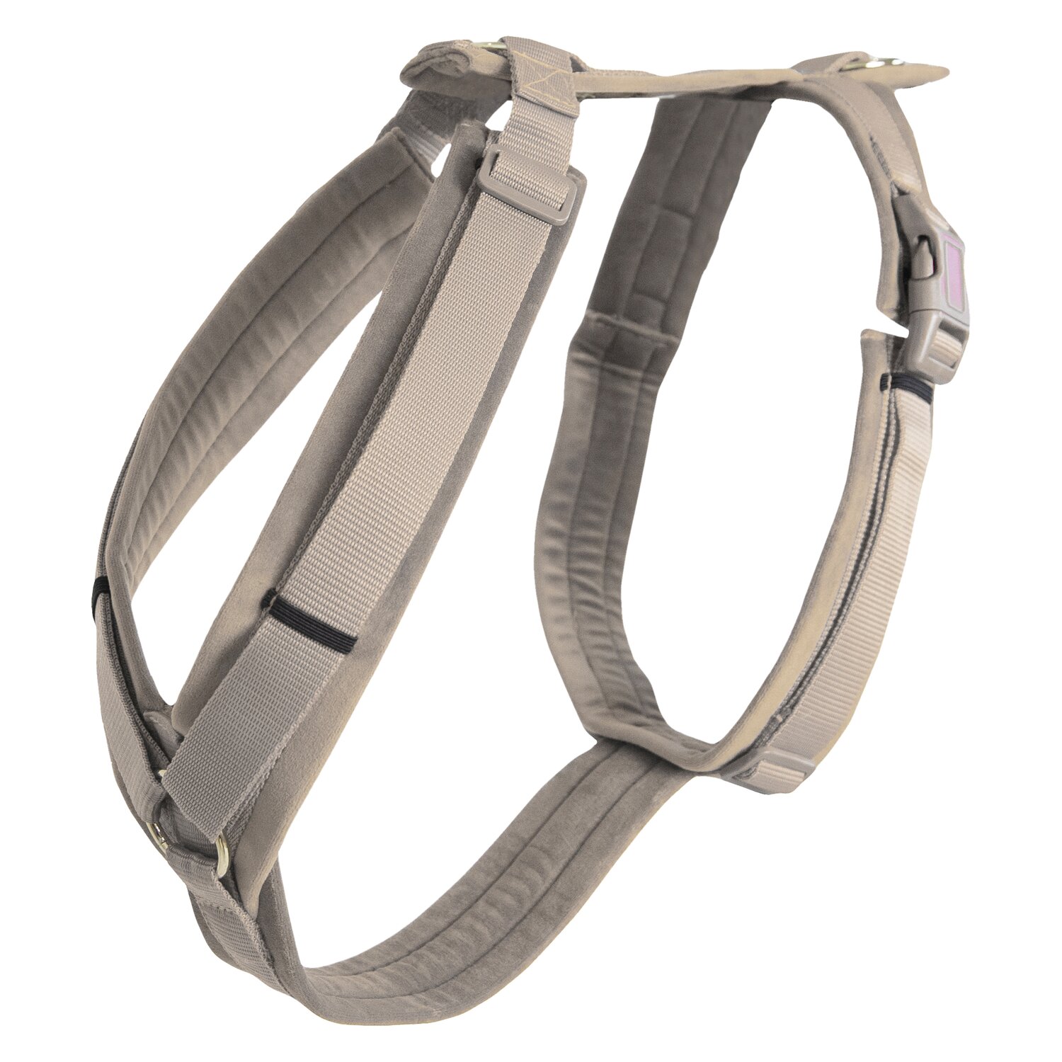KENTUCKY DOGWEAR Hundegeschirr Activ Velvet  - beige