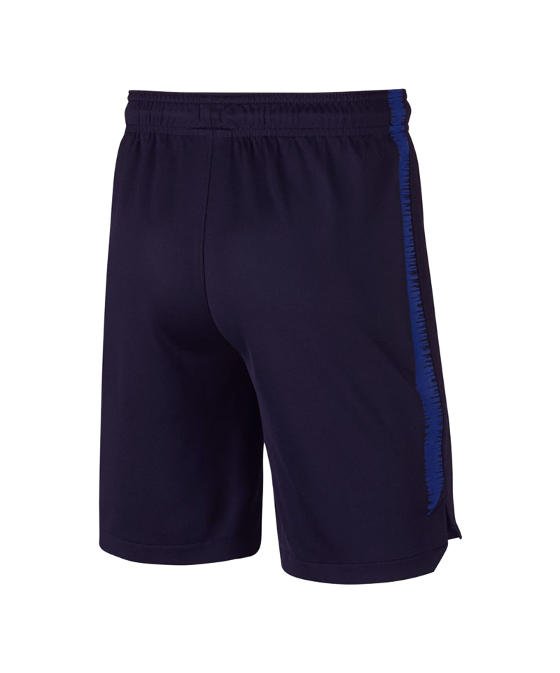 Nike Dry Squad Short Kids Blau F416