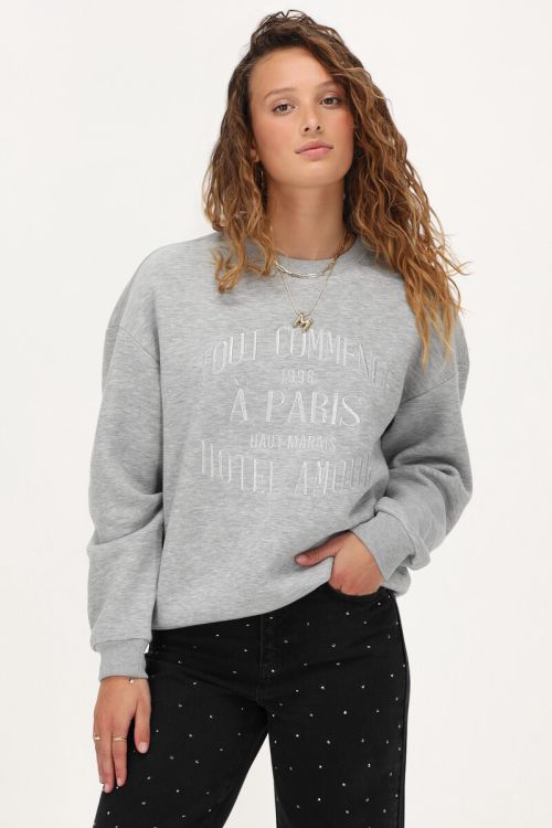 Grijze sweater 