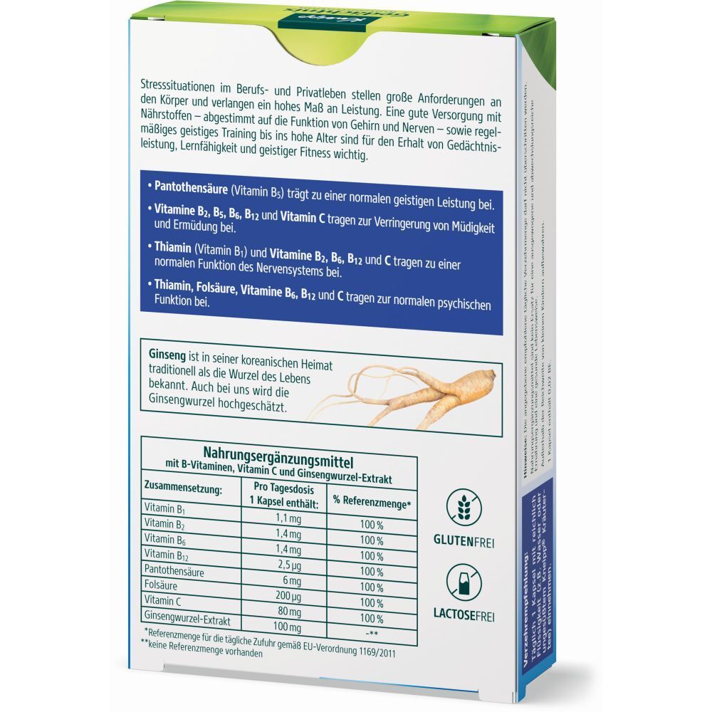 Kneipp® Gedächtnis + Konzentration