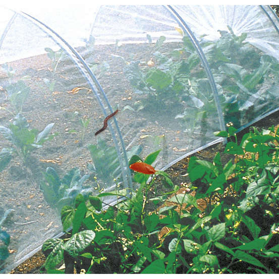 Filet anti insectes Bio control Transparent 2,20X5M