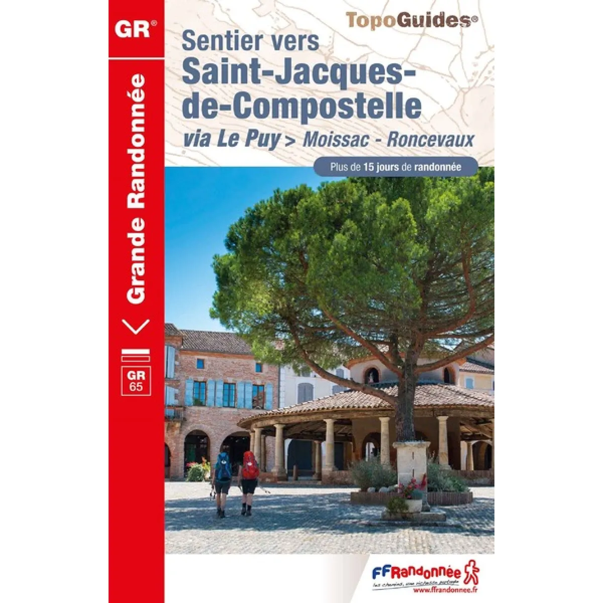 Sentier vers Saint-Jacques-de-Compostelle. Via Le Puy : Moissac-Roncevaux, GR 65 : plus de 15 jours de randonnée · Occasion
