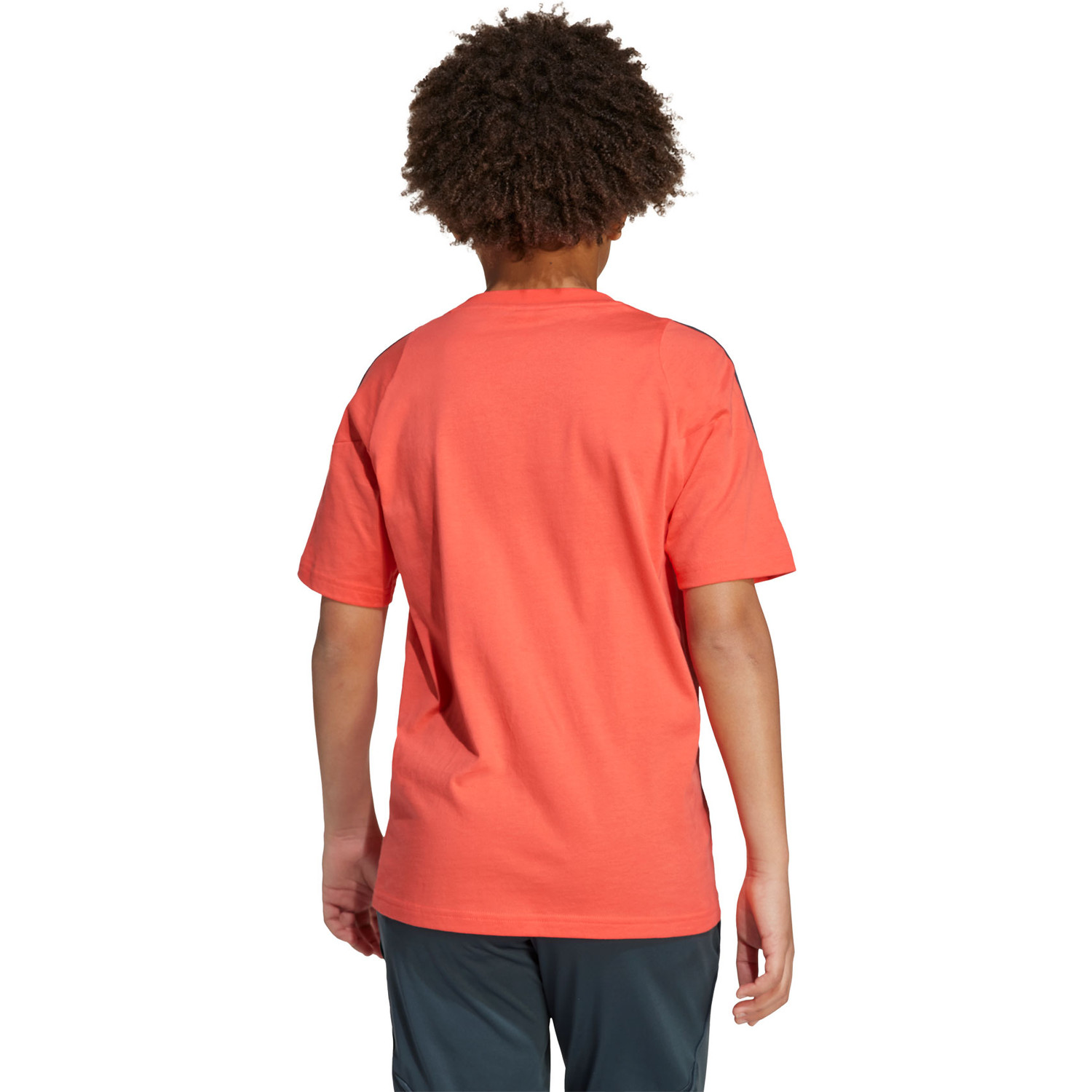 adidas Bayern München Tee Kids 2025/2026