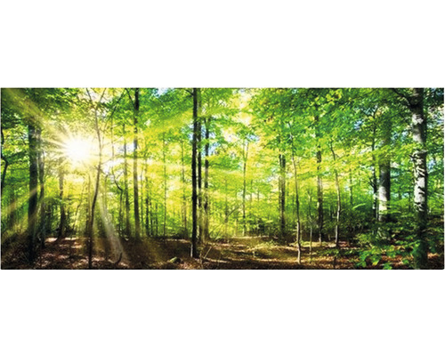 Infrarood beeldverwarmer Marmony Forest 83026 100x40 cm 800 watt