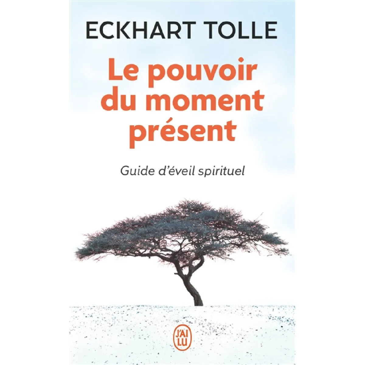 Le pouvoir du moment présent : guide d'éveil spirituel · Occasion