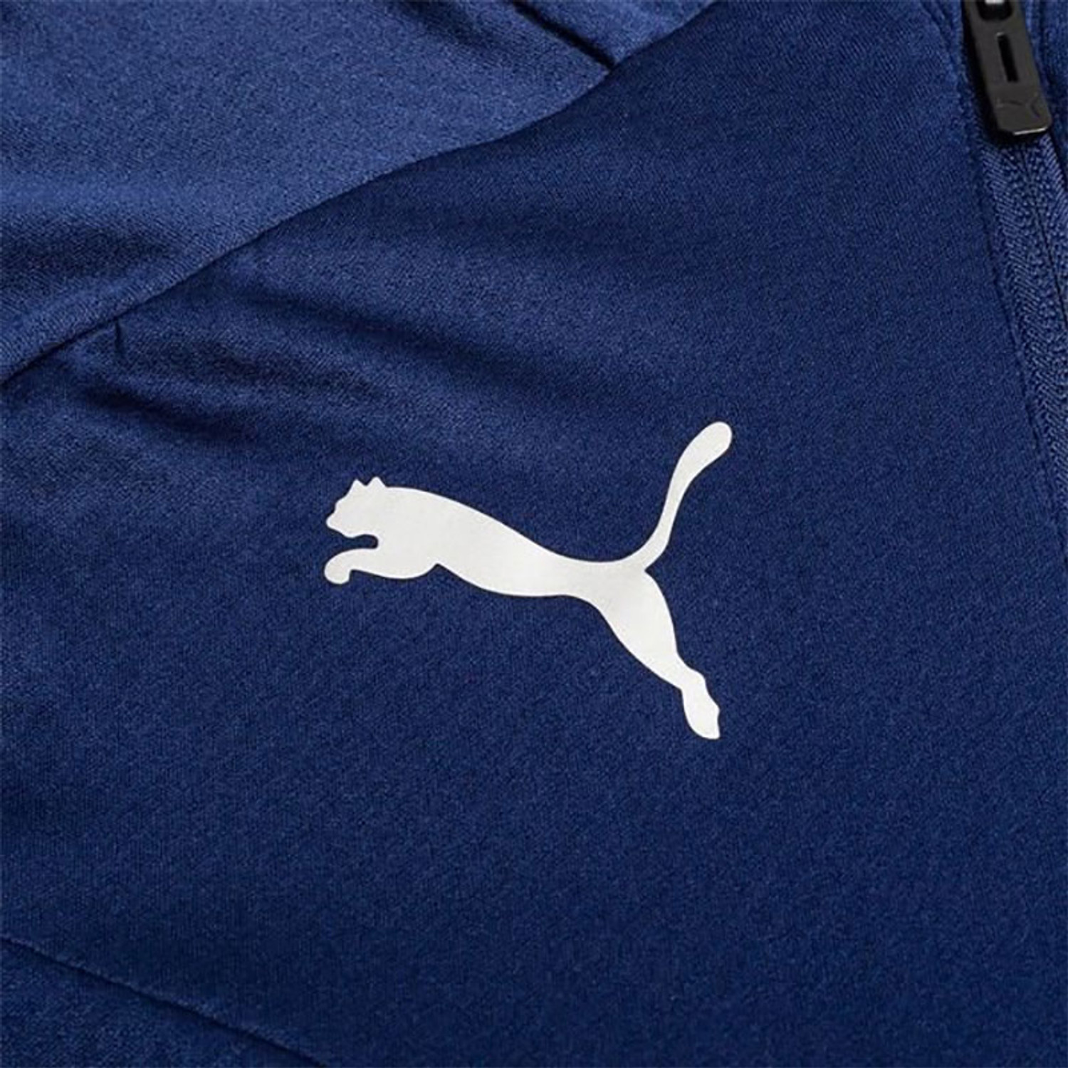 Puma Fenerbahce Trainingspak