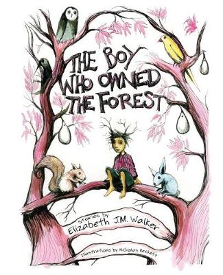The Boy Who Owned the Forest (Paperback)