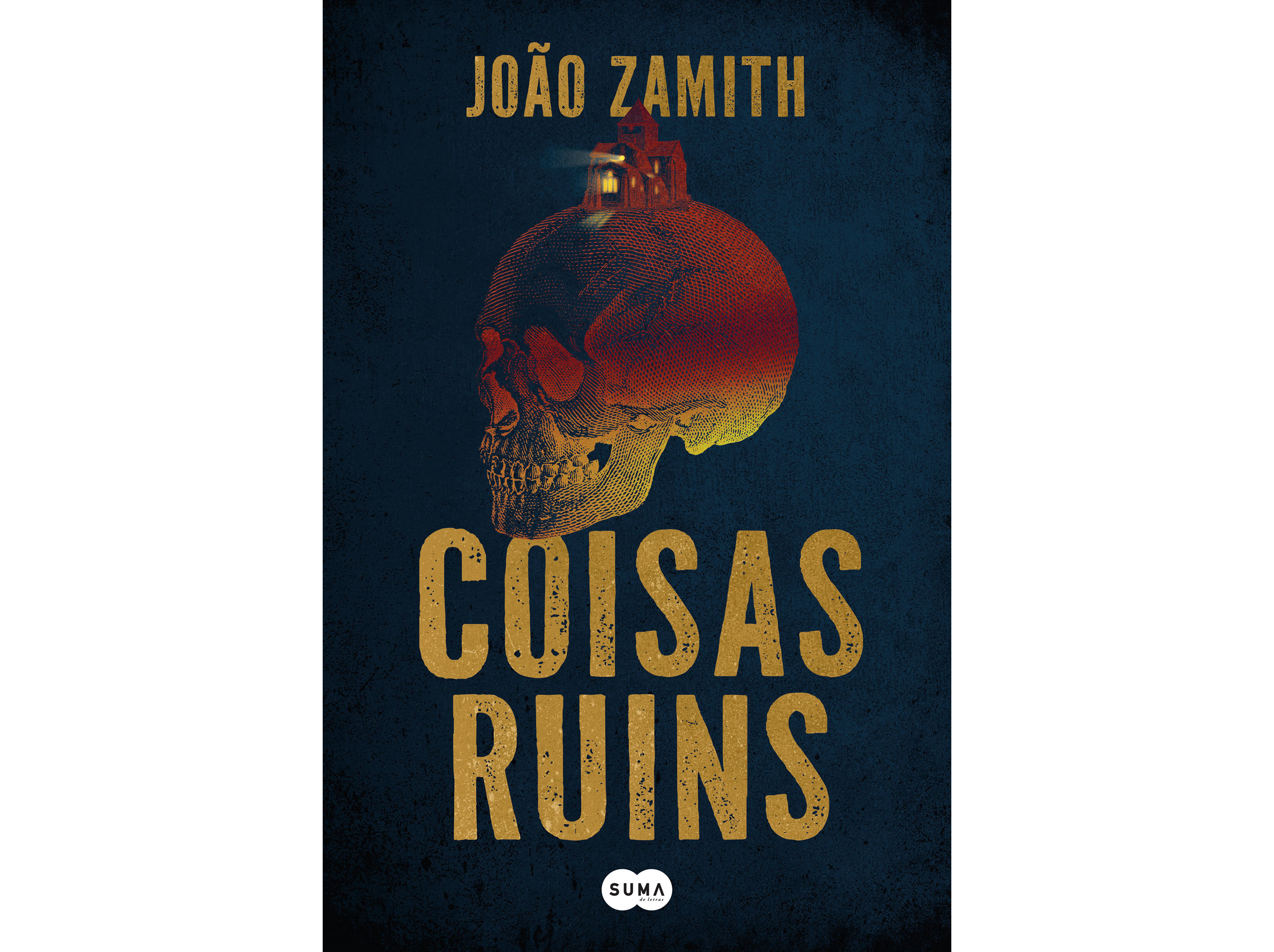 LIVRO COISAS RUINS DE JOÃO ZAMITH