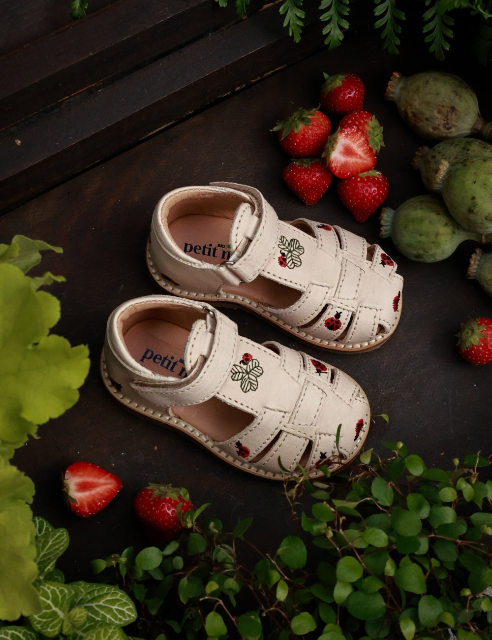 Ladybug Classic Sandal - Cream