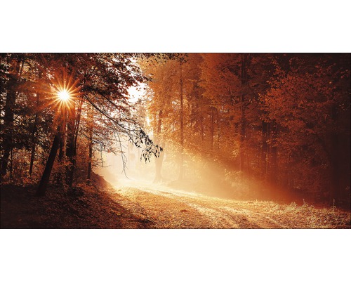Metalen schilderij Herfstbos ll 100x200 cm