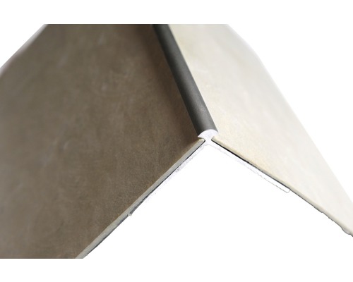 Profielstrip buitenhoek Slate-Lite F-Line staal 2,5 m
