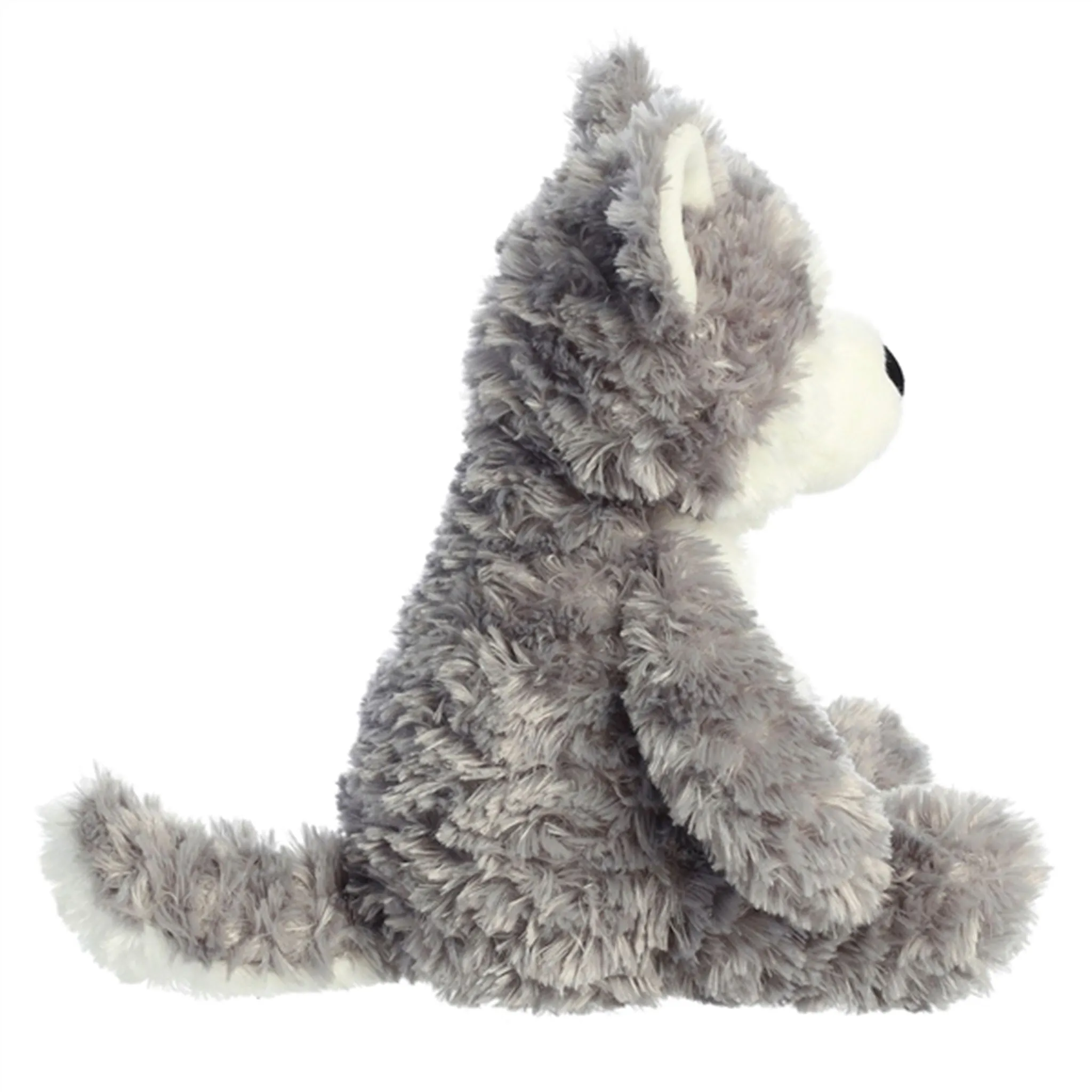 Aurora Chien Husky 12