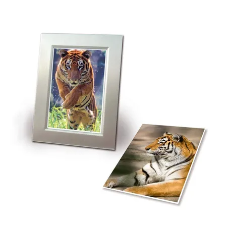 Avery Zweckform C2550-40P Premium Inkjet Fotopapier, 10x15, einseitig beschichtet, 250 g/m², 80 Blatt