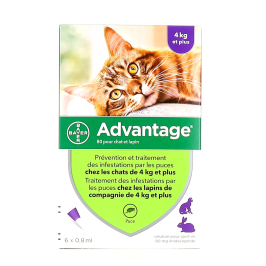 Pipettes anti-puces chat et lapin Advantage