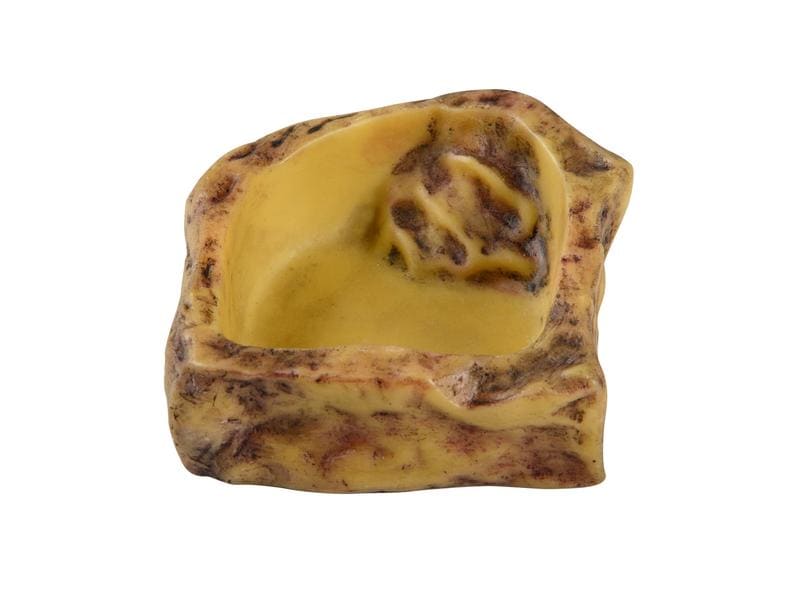Exo Terra Wasserschale Small, 10 x 10 x 3 cm Water Dish für Reptilien