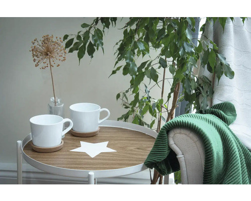 dc-fix® kleeffolie houtdecor licht eiken 45x200 cm