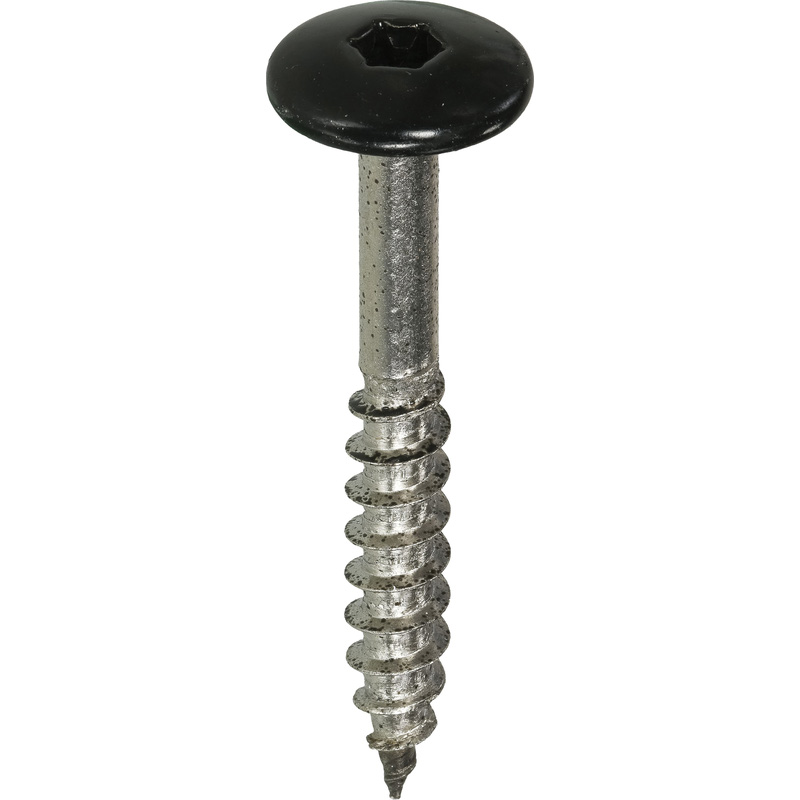 Kleurkop schroeven RVS 4,8x25mm TX20 RAL 9005 Zwart