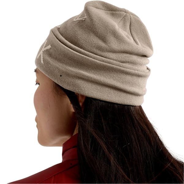 Bonnet ski ARC'TERYX BIRD HEAD TOQUE RUNE / ARCTIC SILK