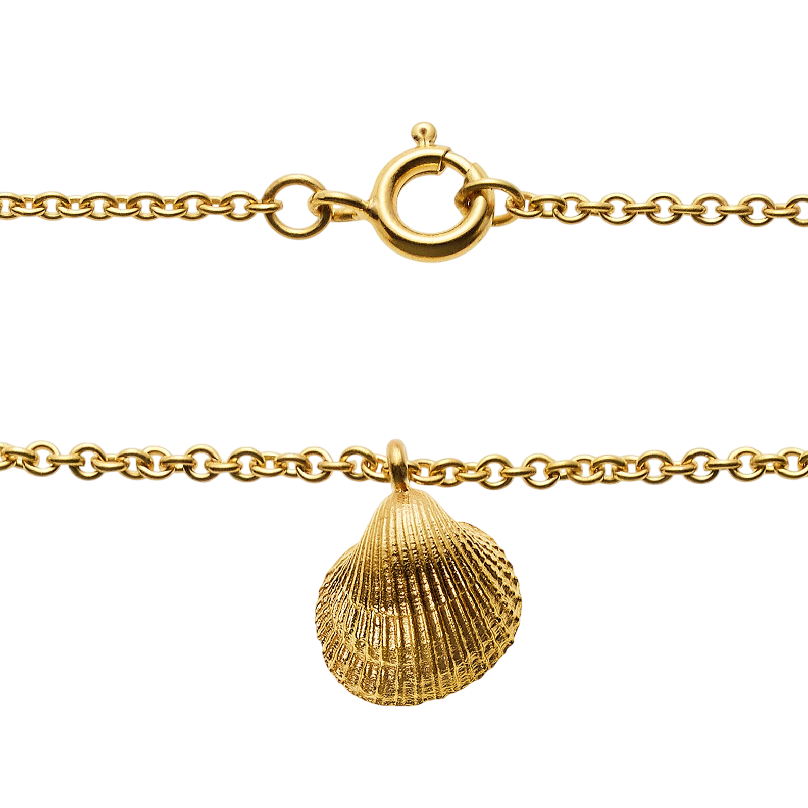 Collier mit 8 Carneol Steinen und Muschel Anhänger, vergoldet