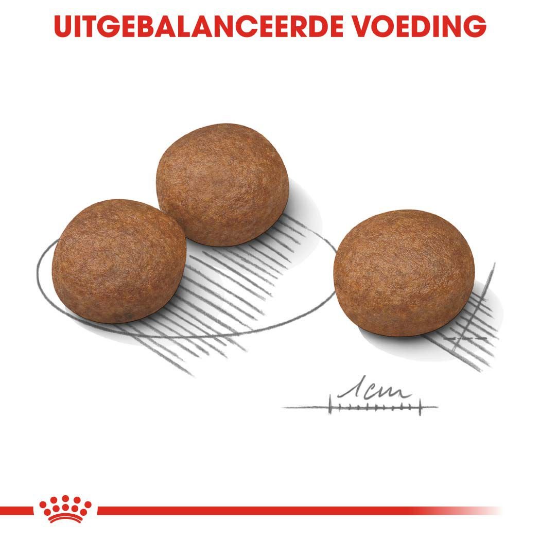 ROYAL CANIN Medium Digestive Care - Hondenvoer - 3 Kilogram - gevogelte