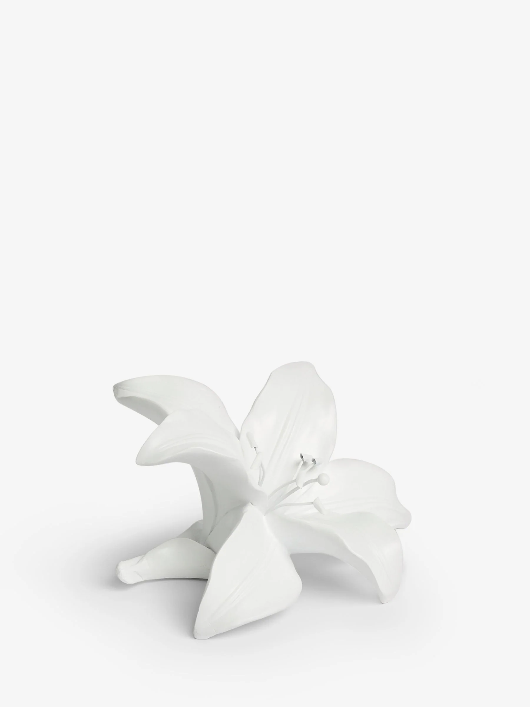 Decoratieve lelie