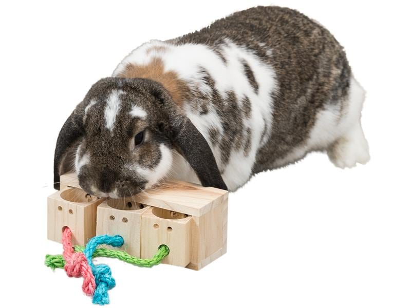 Trixie Spielzeug Snack Würfel, 15 x 5.5 x 6 cm Snackspielzeug für Vögel