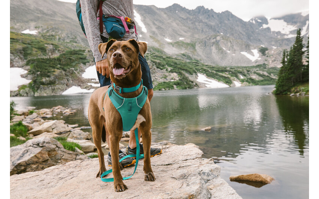 Ruffwear Front Range gepolstertes Hundegeschirr