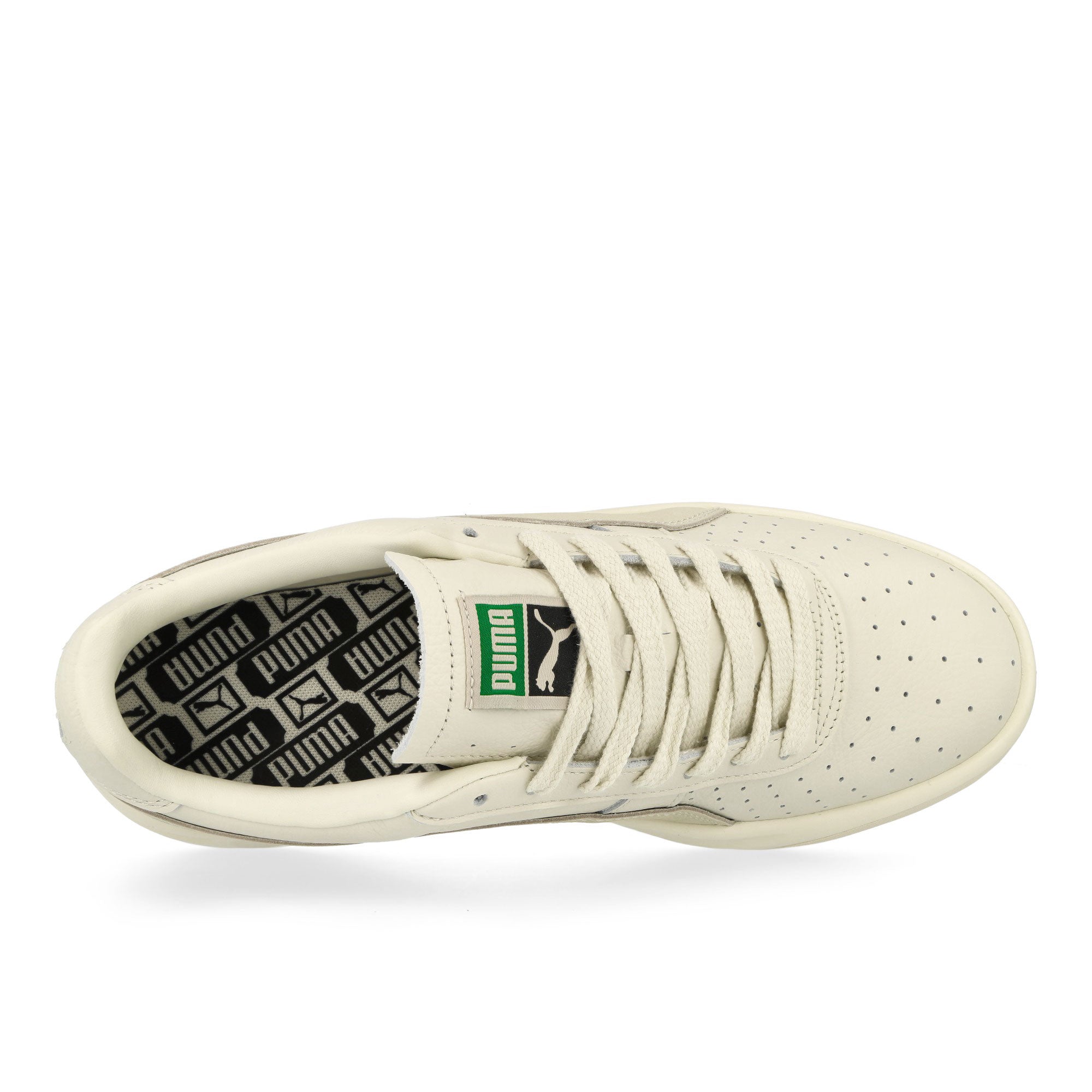 Puma<br>GV Special Base