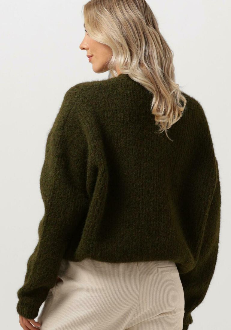 CIRCLE OF TRUST groene circle of trust trui joy knit