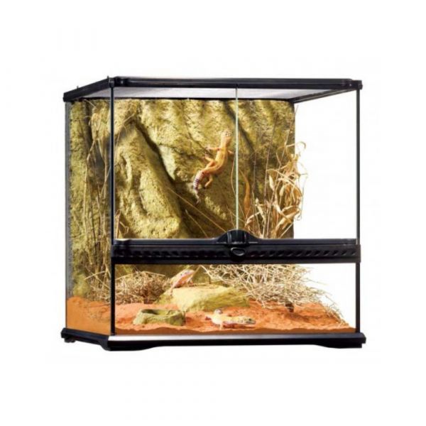 Exo Terra Terrario Réptil 91l 45x45x45cm