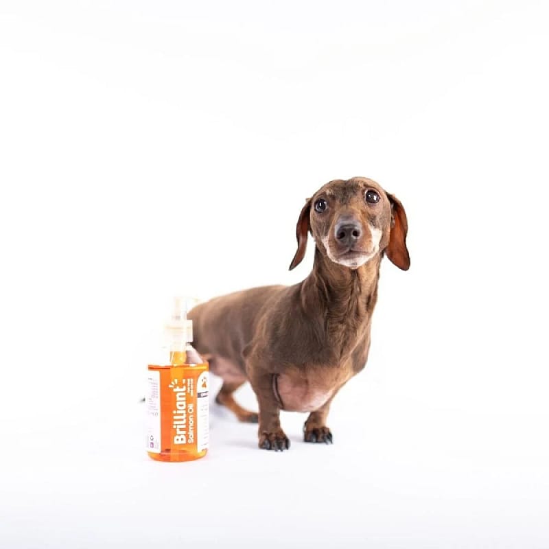 Brilliant Zalmolie Hond Kat (OP=OP) | 1000 ml | 13794.1