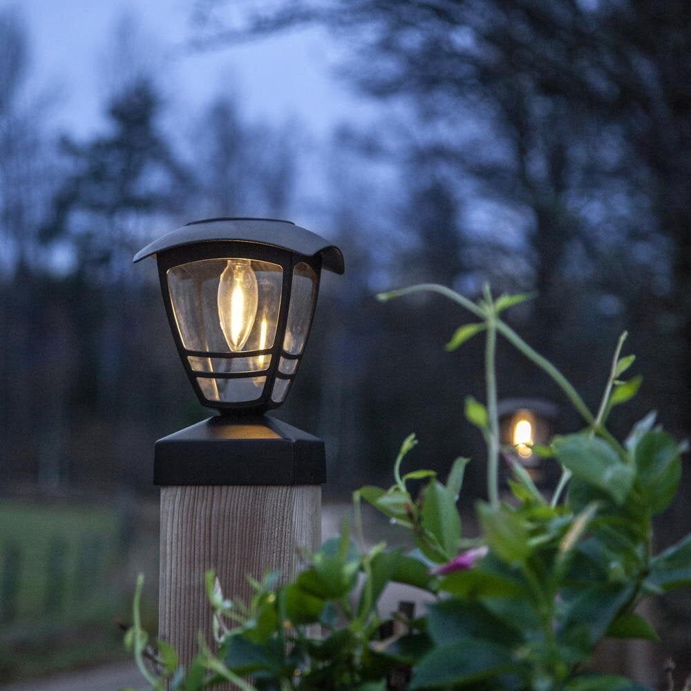 Felix LED-zonnepadverlichting in zwart, 0,3W, 10lm, IP44 met schemersensor