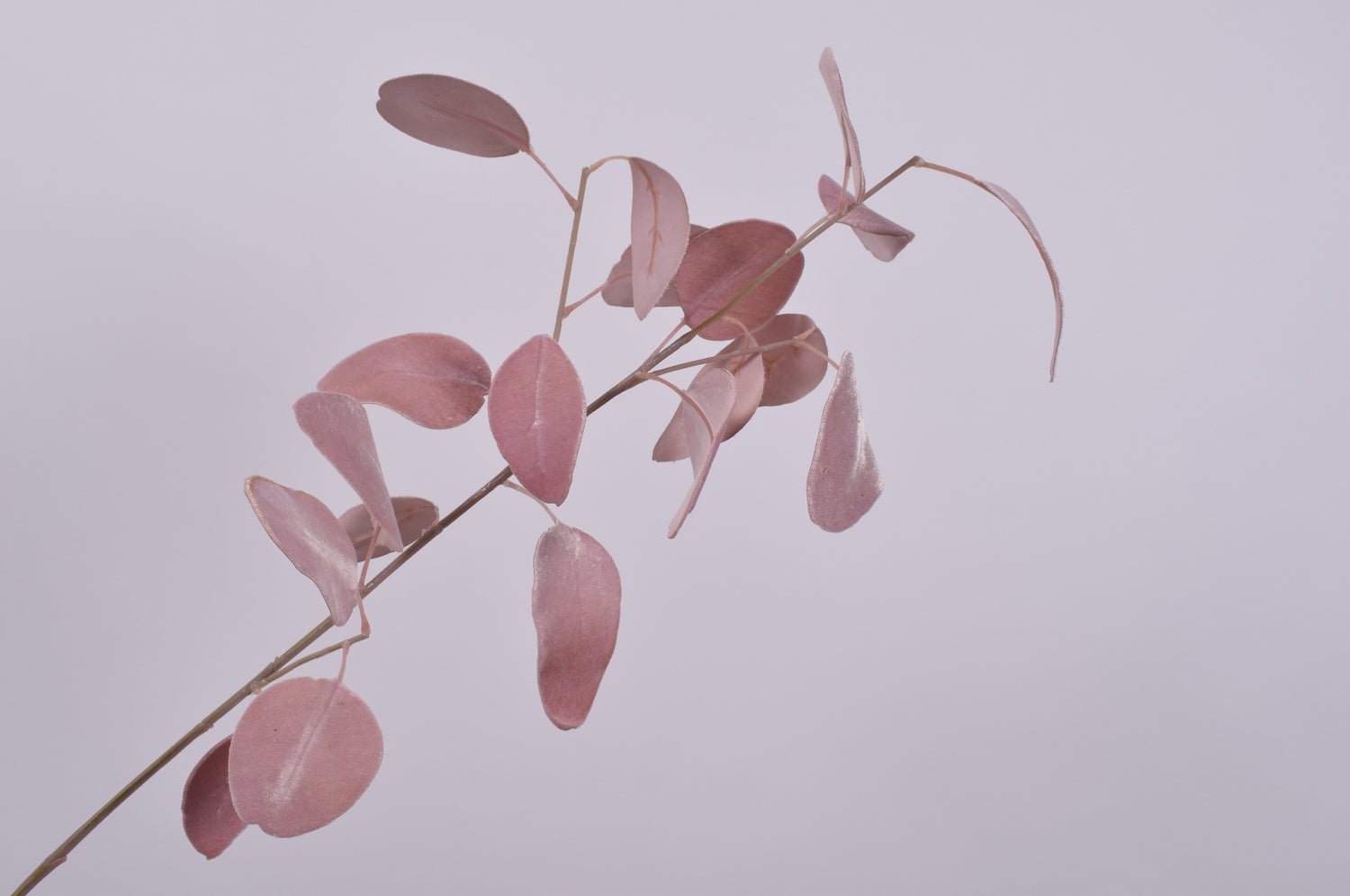 Silk-ka kunsttak Eucalyptus roze 76 cm
