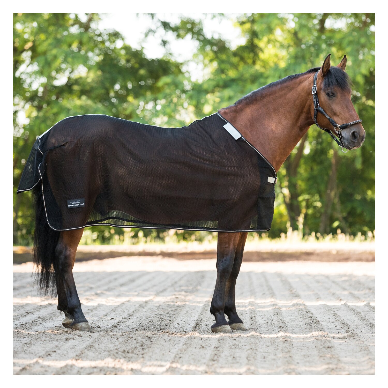 EQUINE MICROTEC Fliegendecke Micro Mesh Protect - black