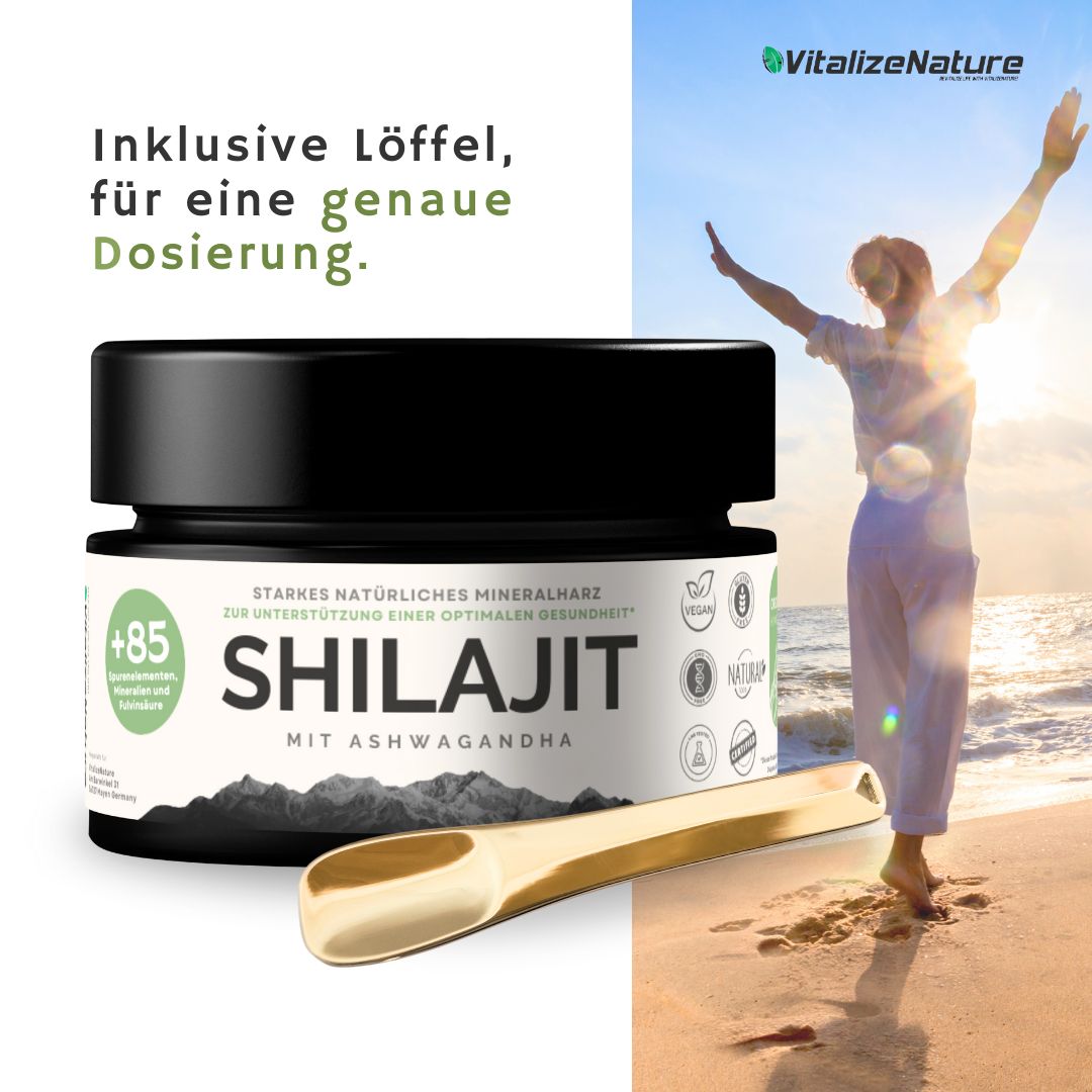 VitalizeNature Shilajit mit Ashwagandha