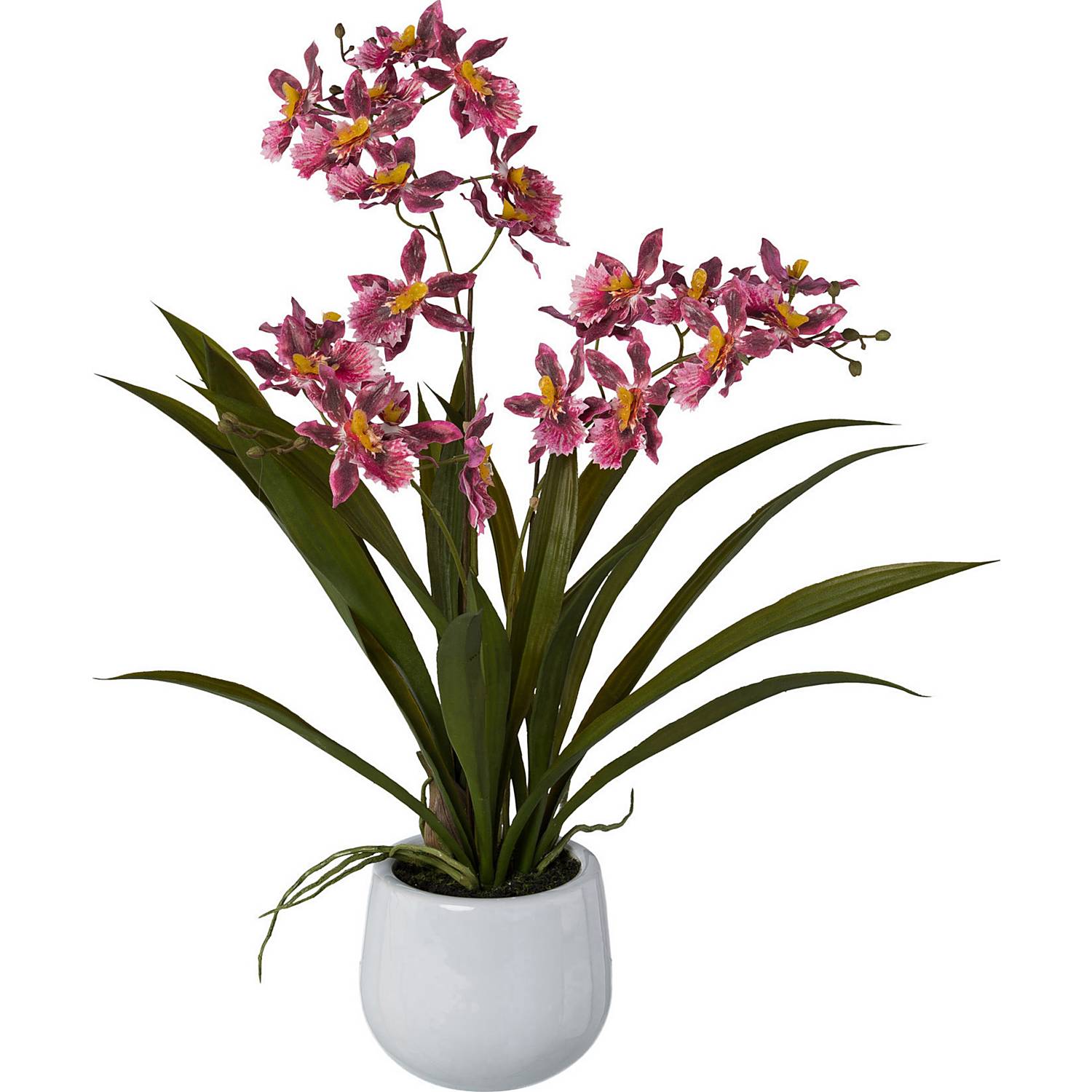 Kunstpflanze Orchidee