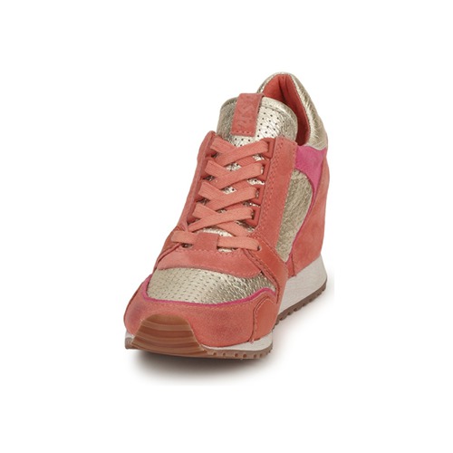 Ash - DEAN BIS - Or /  Corail /  Rose