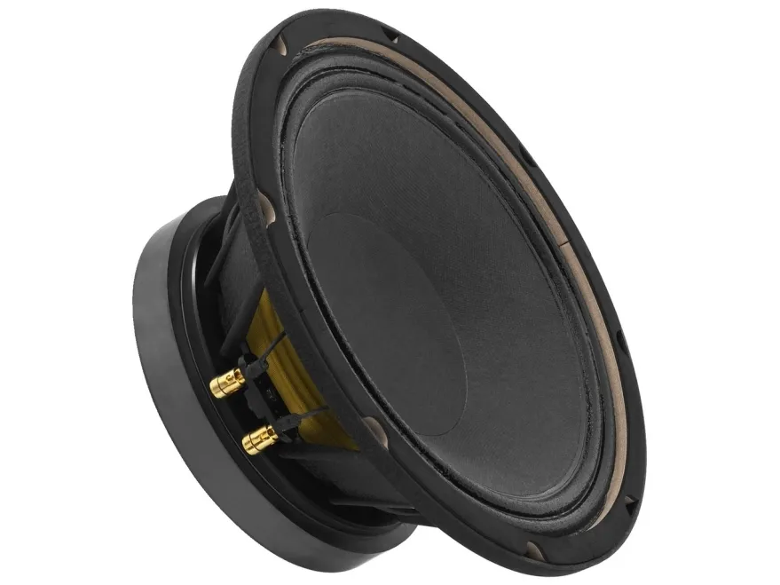SP-10/250PRO PA bass speaker, subwoofer, 250 W, 8 Ω