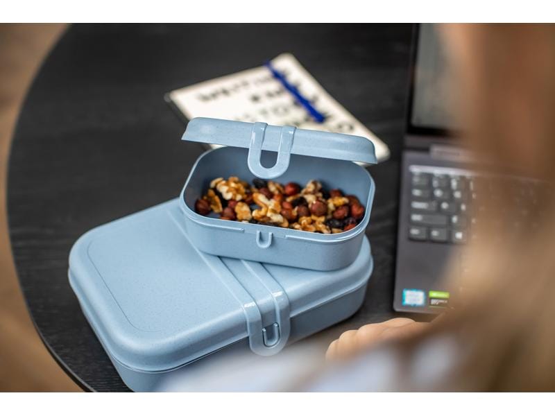 Koziol Lunchbox Pascal L Blau Lunchbox mit Trennsteg