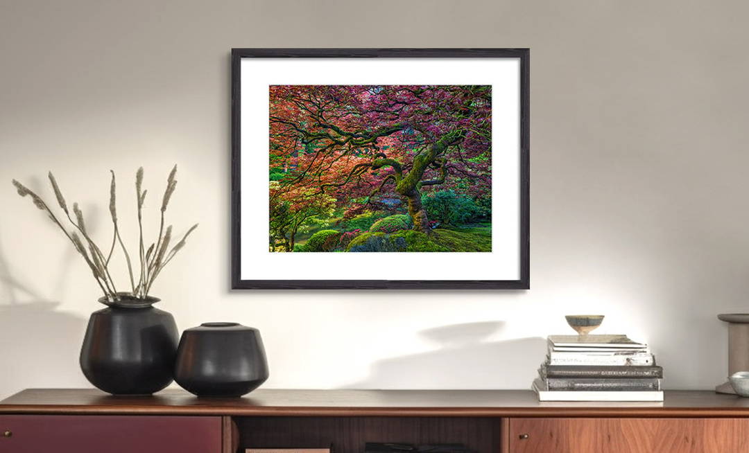 Dressed for Spring by Roman Johnston - Darlings - Small Limited Edition. 30x40.