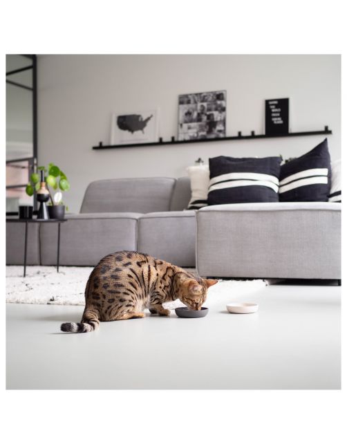 District 70 Katten Voerbak Bamboe Ø12 cm - Kattenvoerbak