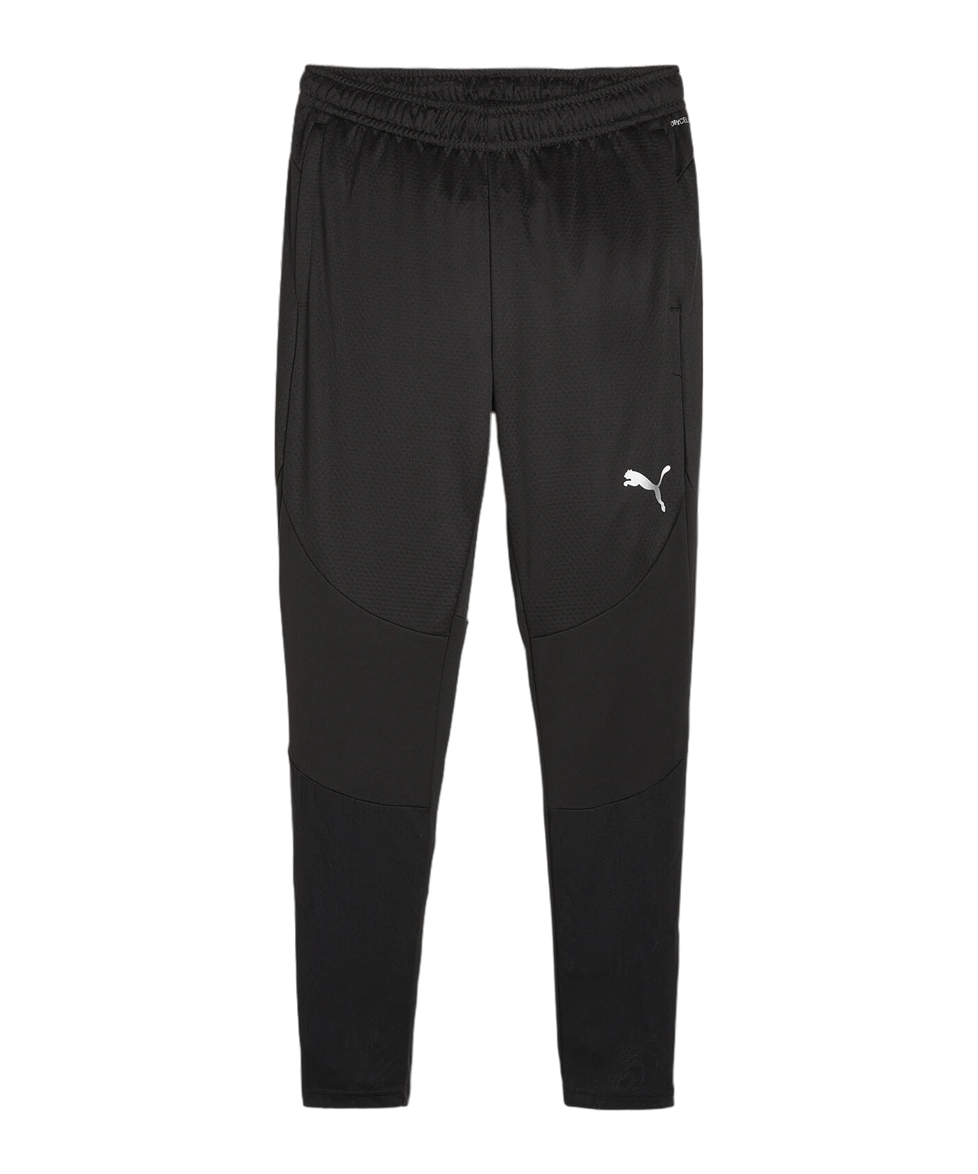 PUMA teamFINAL Trainingshose Schwarz F03