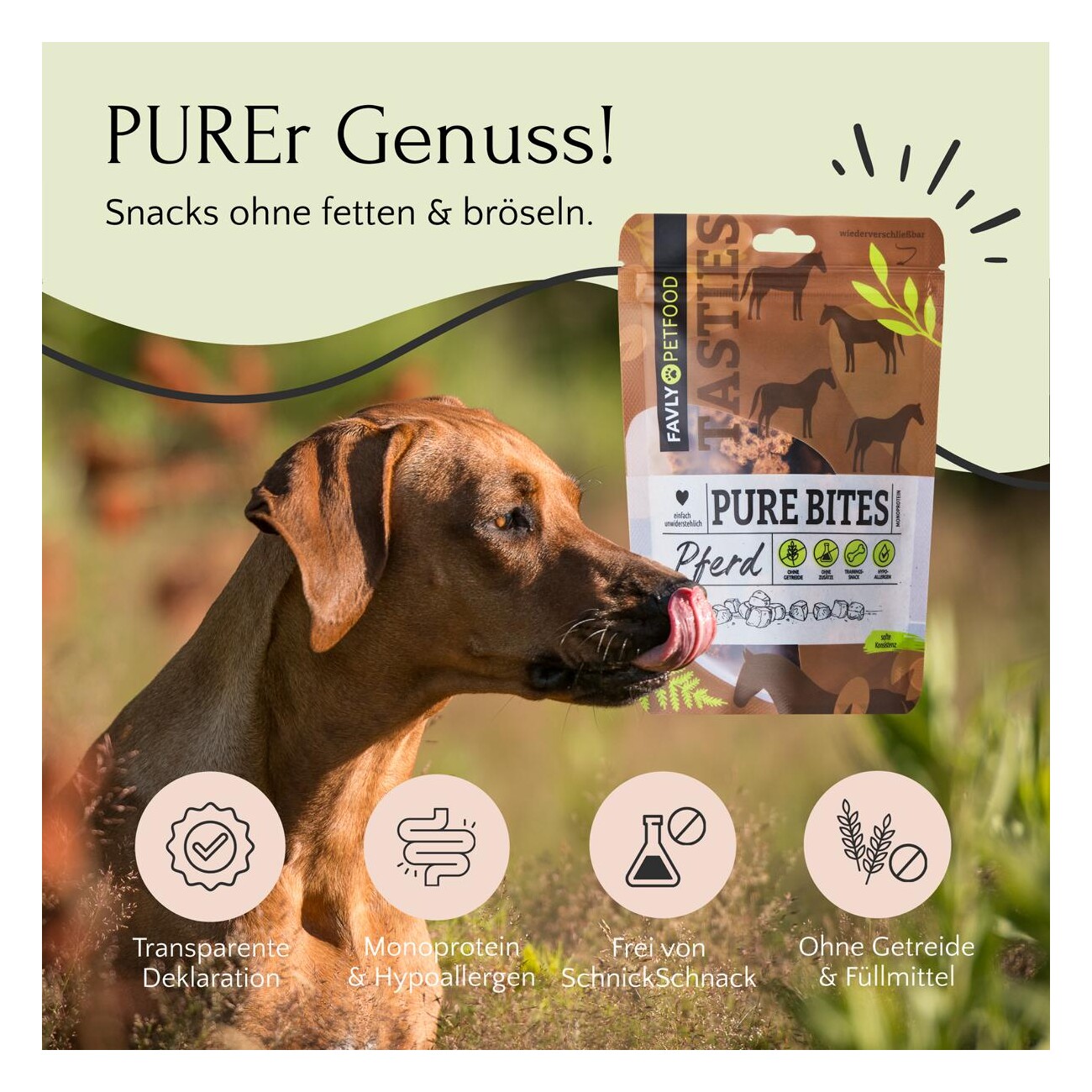 FAVLY Petfood PURE Bites Pferd 360 g
