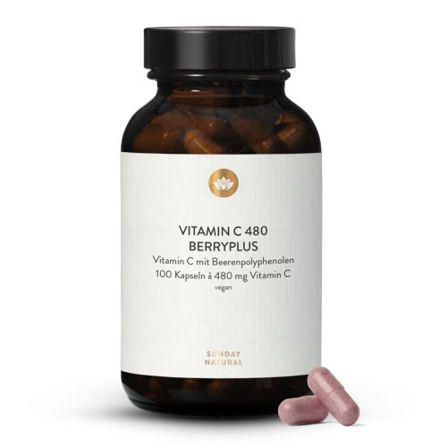 Sunday Natural Products  Vitamin C 480 Berryplus