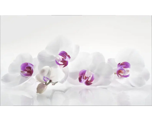 Keukenachterwand mySpotti Profix Orchid 100 x 60 cm PX-10060-61-HB