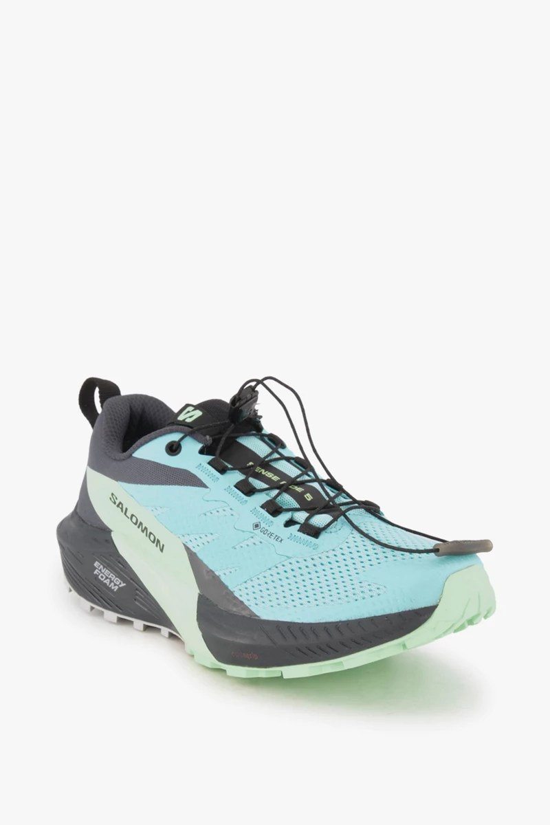 Salomon Sense Ride 5 Gore-Tex® Damen Trailrunningschuh