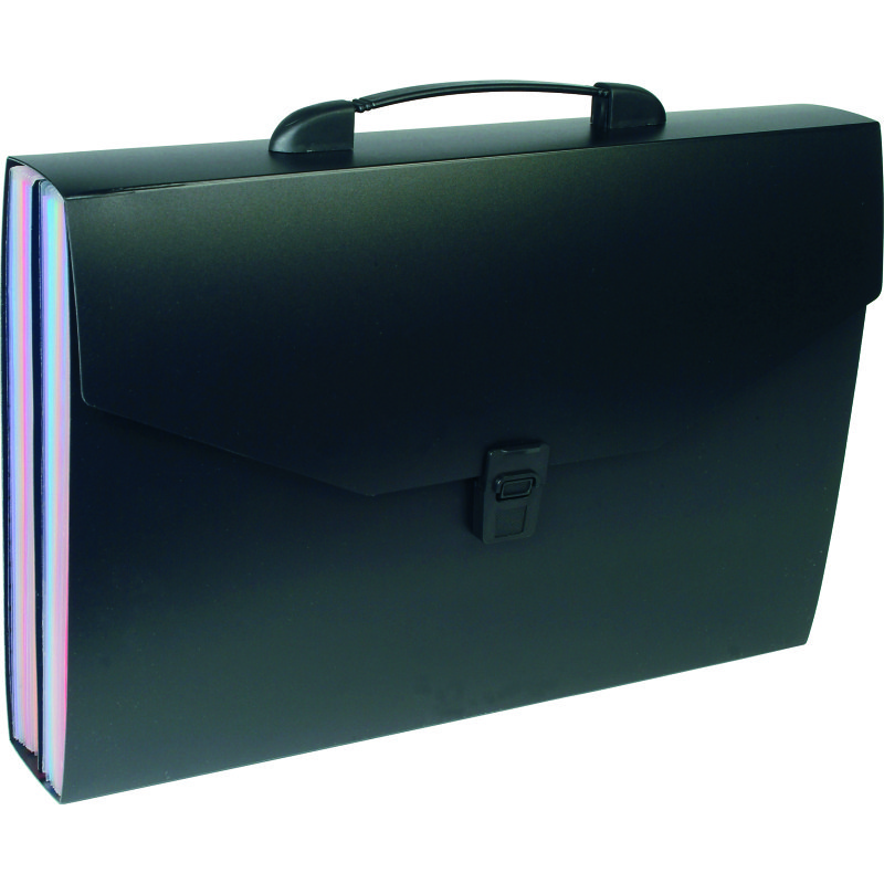 Trieur valisette polypropylène Viquel Rainbow Class 24 onglets